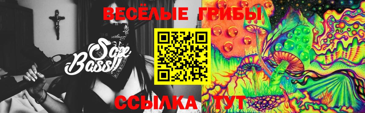 Псилоцибиновые грибы мицелий Будённовск